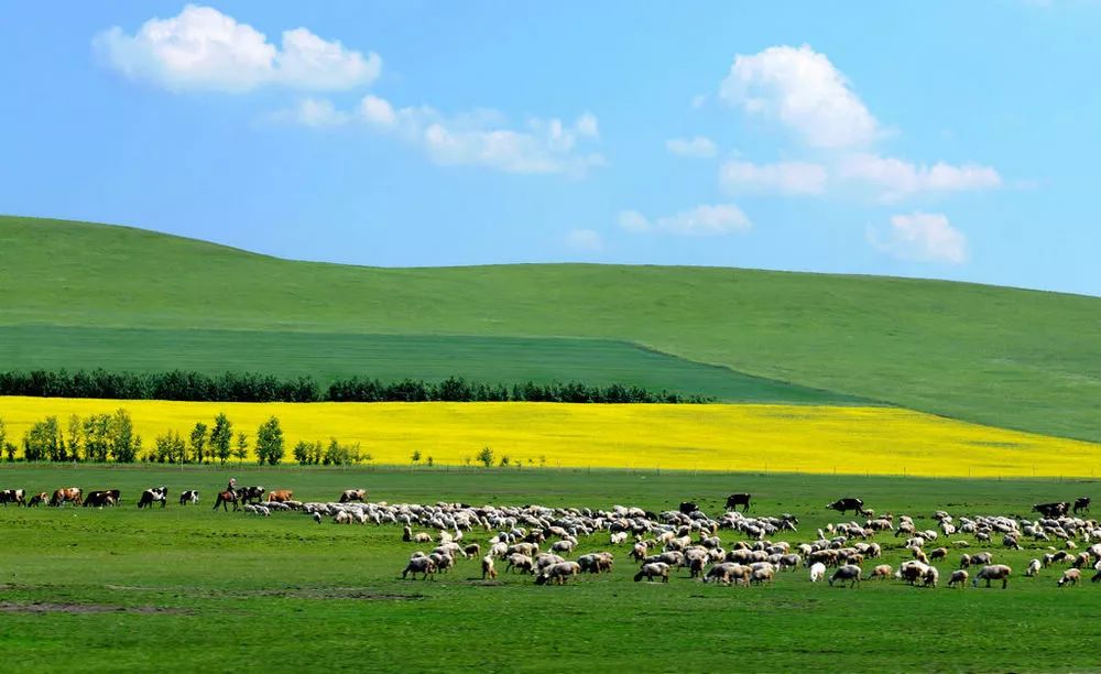 内蒙古风情与传奇探秘