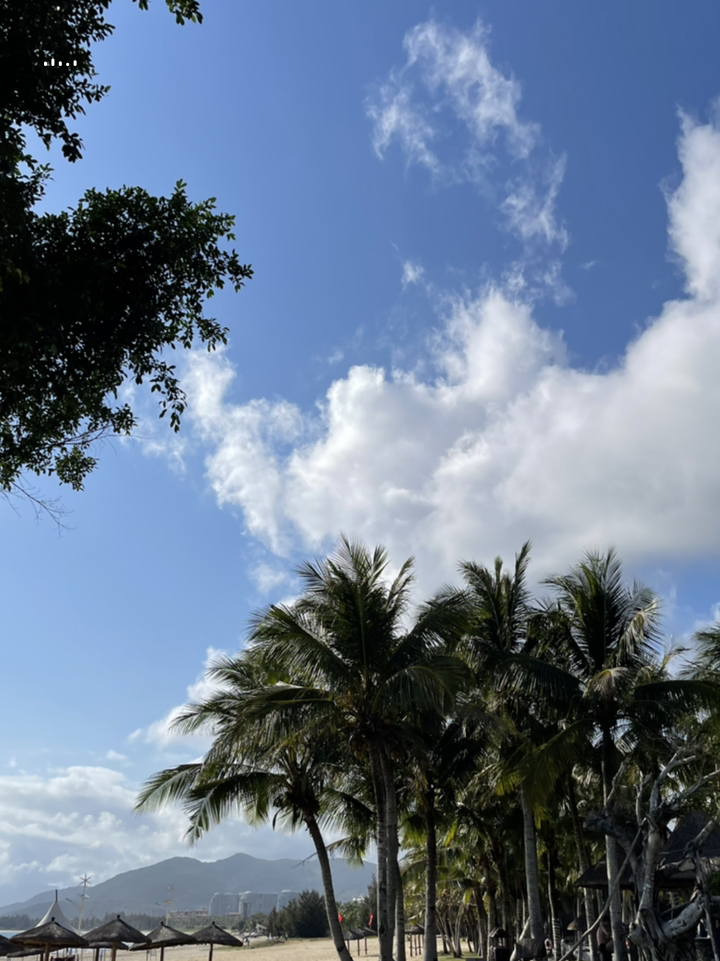 海南智能生活新纪元，科技与自然和谐共生