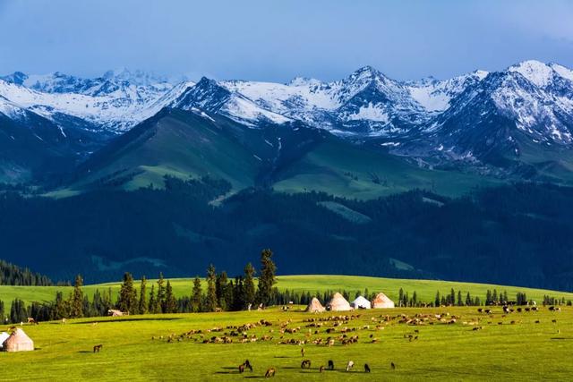 新疆之光，引领科技生活新纪元的领先高科技产品介绍